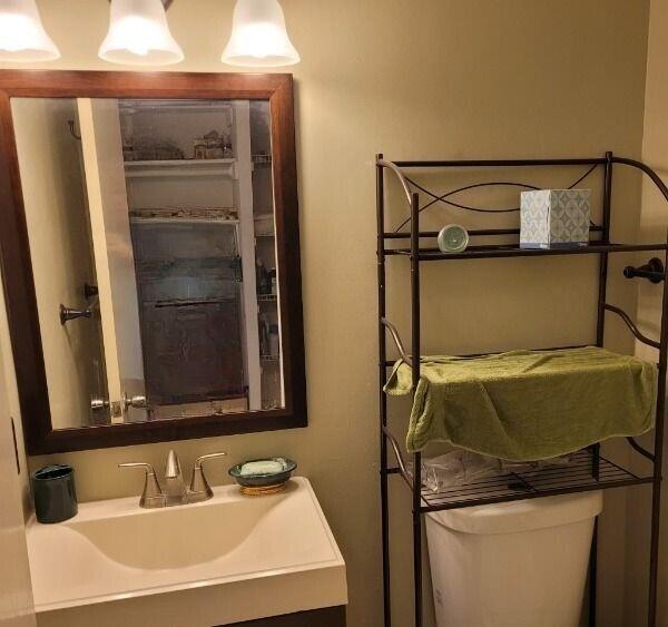 bathroom featuring vanity with extensive cabinet space and toilet