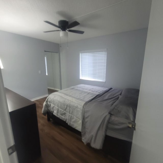 bedroom with a closet, ceiling fan, and dark hardwood / wood-style floors