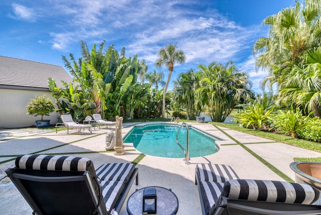 view of pool featuring a patio area