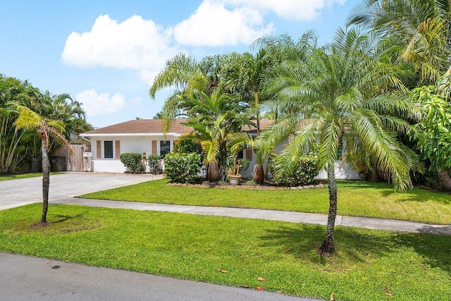 view of front of house with a front yard