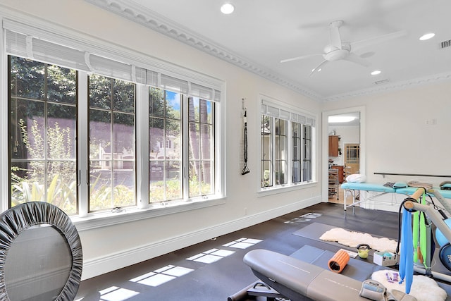 workout area with ornamental molding, dark wood-type flooring, and ceiling fan