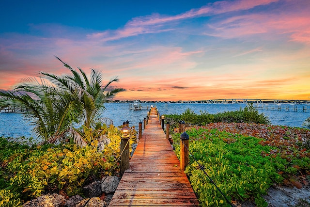 dock area with a water view