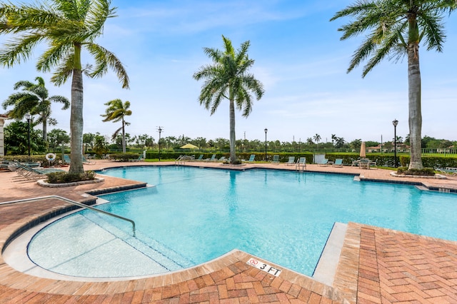 view of swimming pool