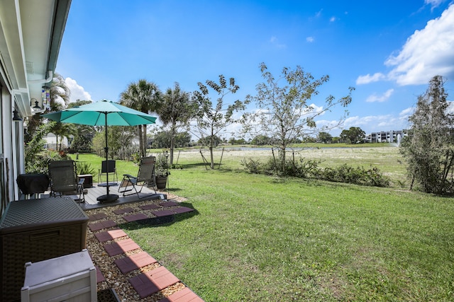 view of yard featuring a patio