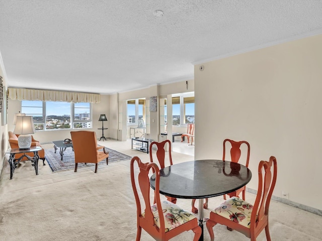 carpeted dining area with a textured ceiling and crown molding