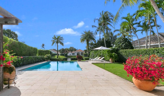 view of pool with a patio