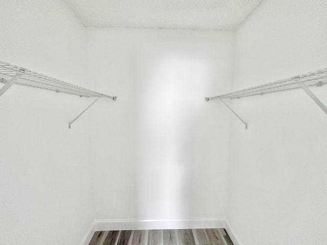 spacious closet with wood-type flooring