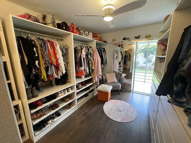 walk in closet with dark hardwood / wood-style flooring and ceiling fan