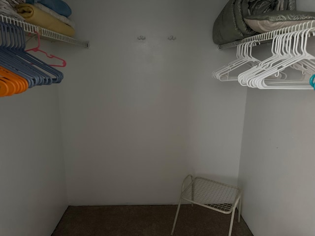 walk in closet with carpet