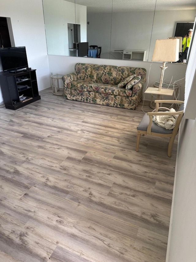 living area featuring wood finished floors