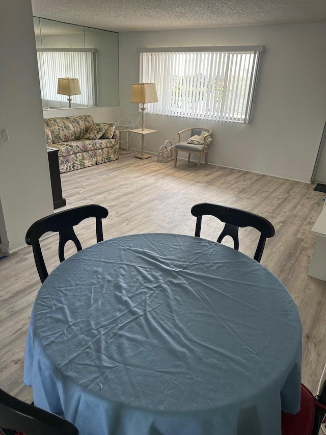 dining room featuring a textured ceiling and wood finished floors