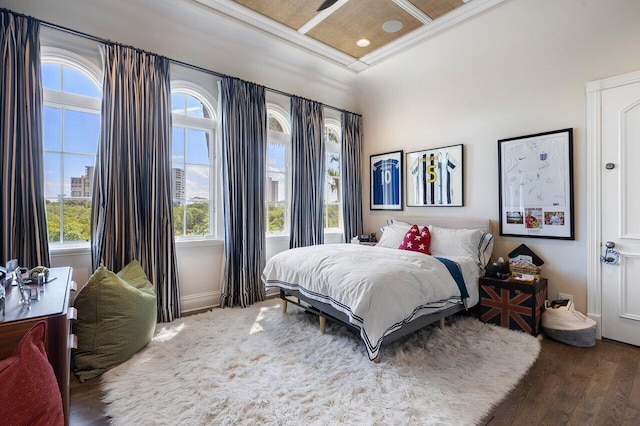 bedroom featuring dark wood-type flooring