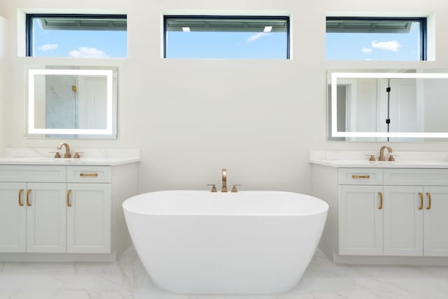 bathroom featuring a bathtub, a healthy amount of sunlight, and vanity