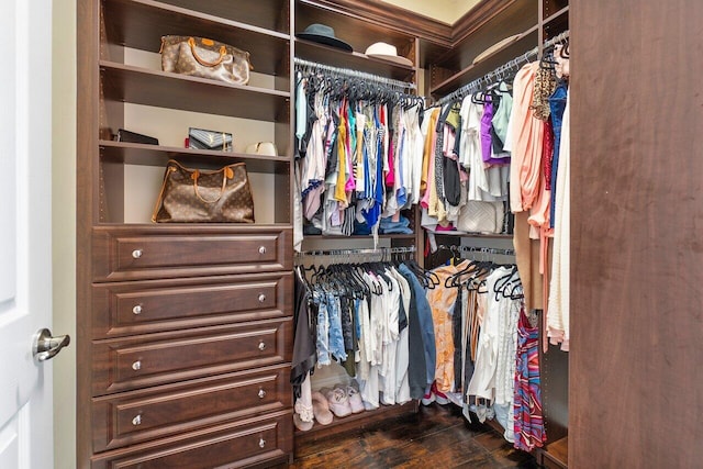 spacious closet with dark wood-type flooring