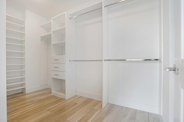 spacious closet with wood-type flooring