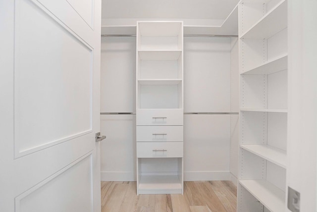 spacious closet featuring light wood-type flooring