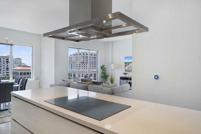 kitchen with black electric cooktop, island range hood, a healthy amount of sunlight, and light hardwood / wood-style floors