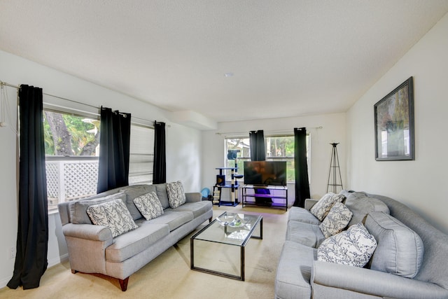 living room featuring light carpet and a healthy amount of sunlight