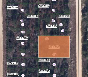 Listing photo 2 for XXX Dothan St, Interlachen FL 32148