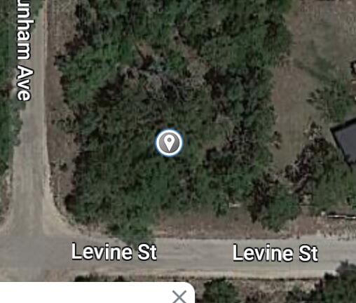 Listing photo 3 for XXX Levine St, Interlachen FL 32148