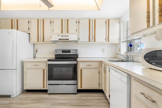 kitchen with ceiling fan, light hardwood / wood-style floors, white appliances, and sink