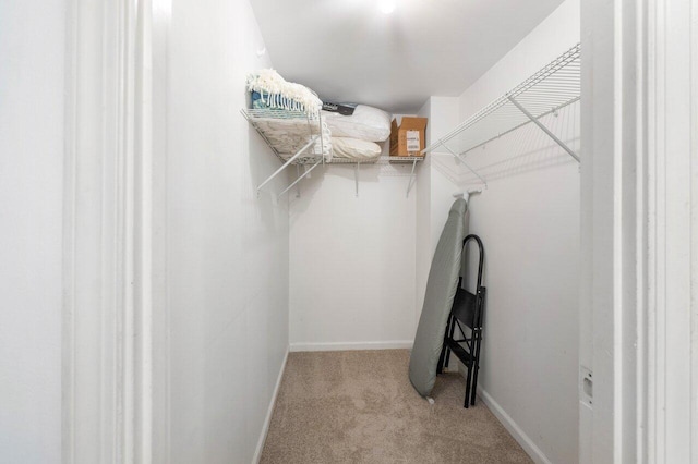 walk in closet with light carpet