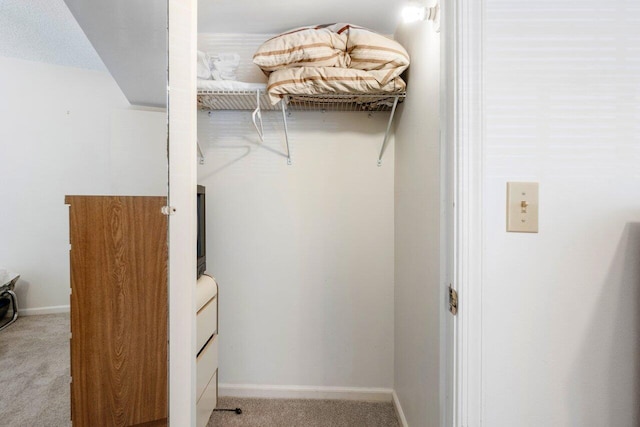 walk in closet with light colored carpet