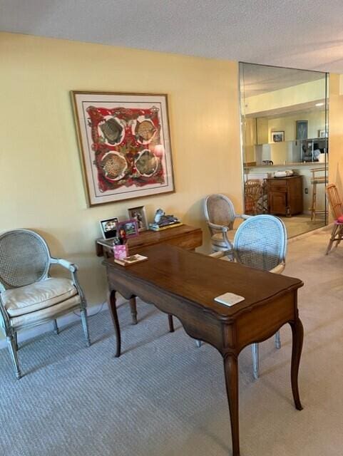 home office featuring light colored carpet and a textured ceiling