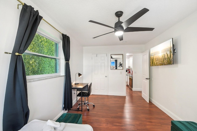 entrance foyer with ceiling fan and dark hardwood / wood-style flooring