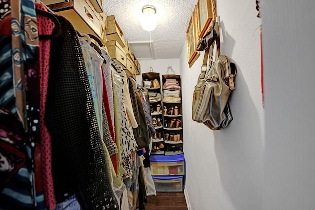 spacious closet featuring wood-type flooring