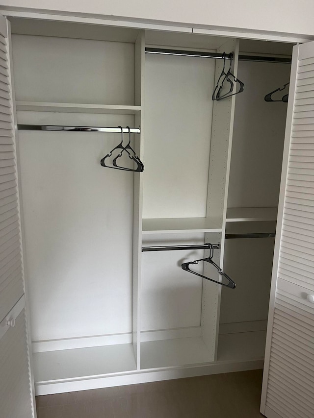 view of closet