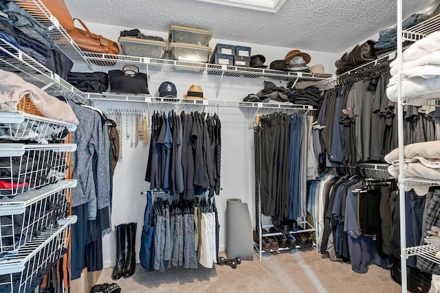 spacious closet featuring carpet