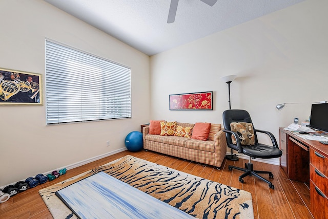 office space with ceiling fan and light hardwood / wood-style flooring