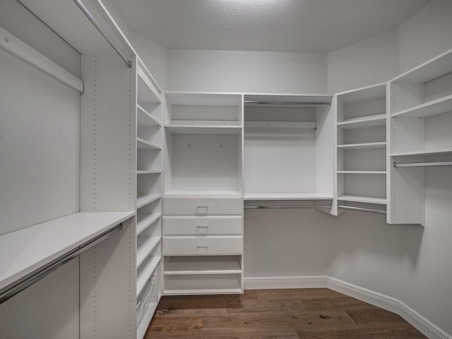 walk in closet with dark wood-type flooring