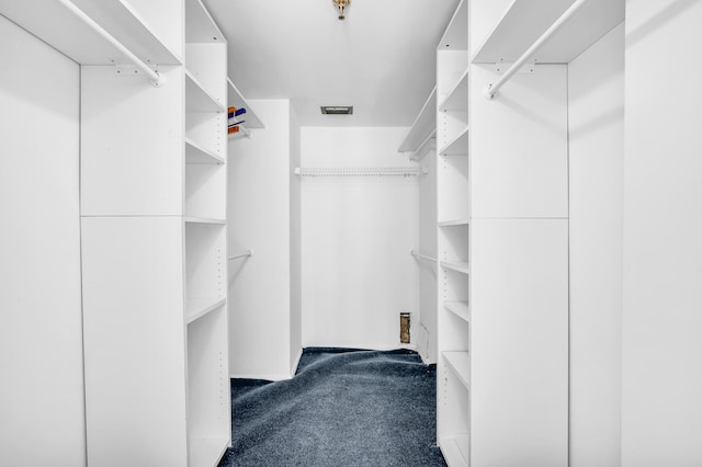 spacious closet featuring carpet flooring