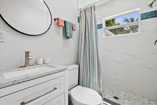 bathroom featuring toilet, vanity, and a shower stall