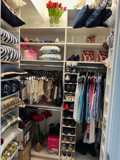 view of spacious closet