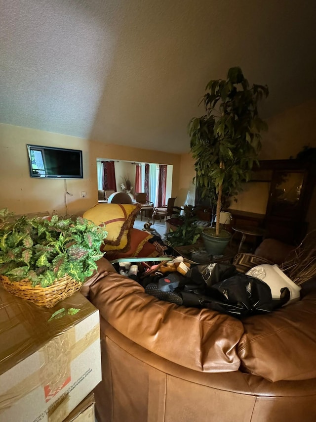 living room featuring a textured ceiling