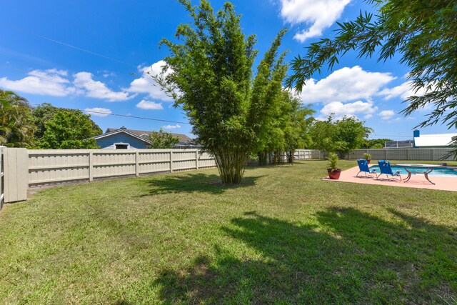 view of yard featuring a patio area