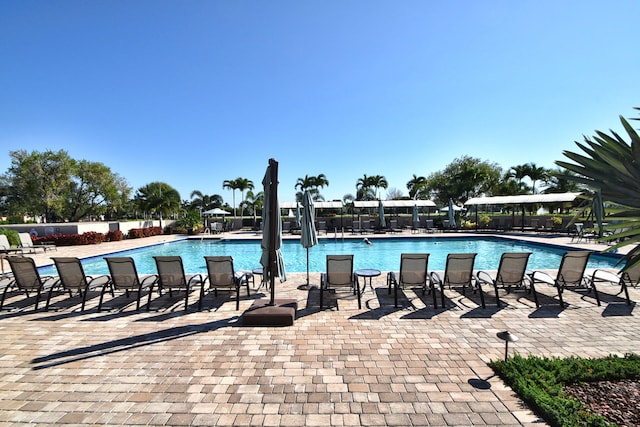 view of swimming pool with a patio area