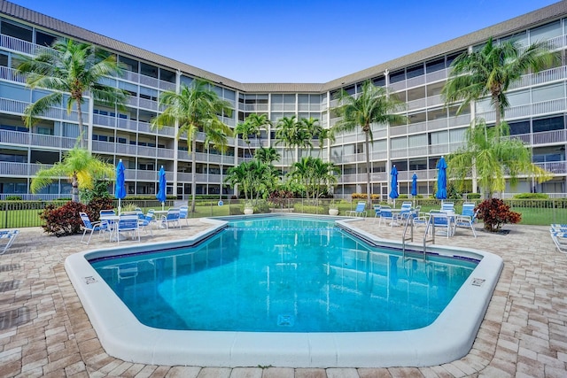 view of swimming pool with a patio area