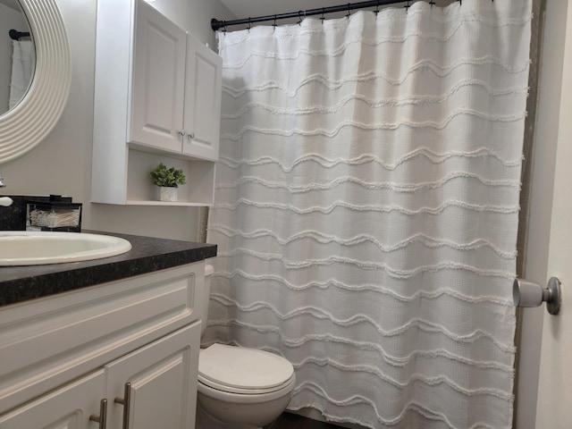 bathroom featuring toilet and vanity with extensive cabinet space