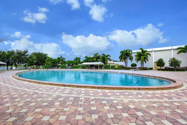 view of swimming pool with a patio area