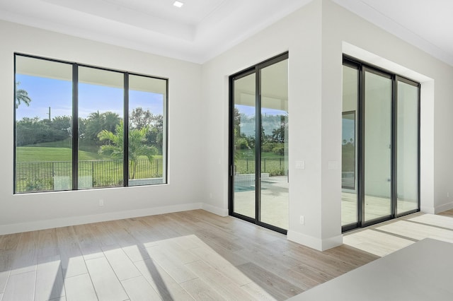 empty room featuring ornamental molding, light hardwood / wood-style floors, and a tray ceiling