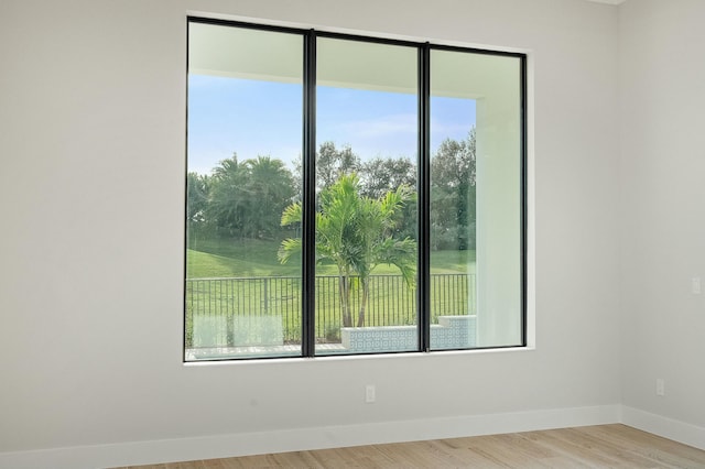 unfurnished room featuring light wood-type flooring and plenty of natural light