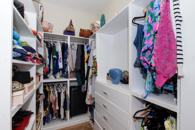 walk in closet with hardwood / wood-style flooring