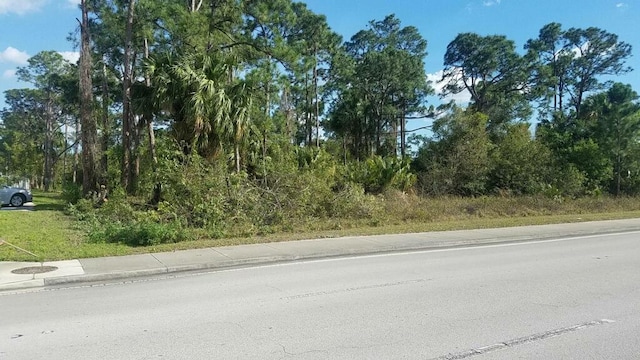 2773 SW Port St Lucie Blvd, Port Saint Lucie FL, 34953 land for sale