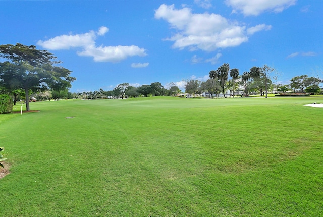 view of home's community with a yard