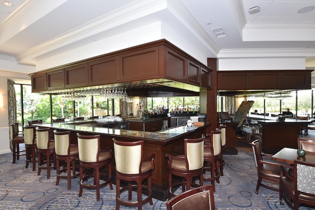 bar with a raised ceiling, ornamental molding, and dark brown cabinetry