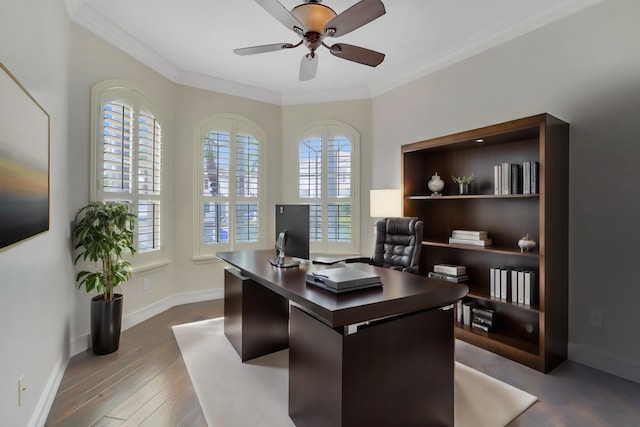 office with dark hardwood / wood-style floors, ceiling fan, and ornamental molding